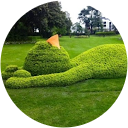 chagnot caroline profile picture